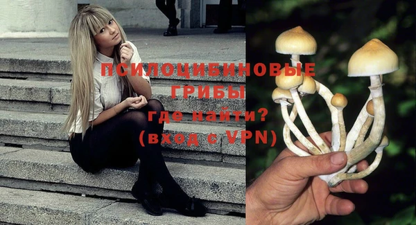 трава Богданович