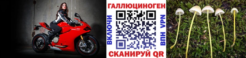 Купить где Мышкин Галлюциногенные грибы мухоморы